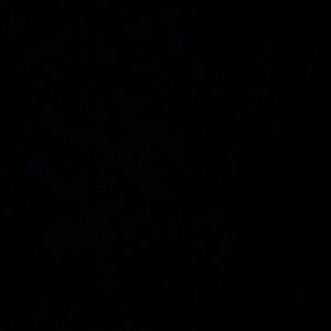 Meet your Posher, Nathan